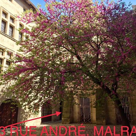 Appartement A 50 M De La Place Aux Herbes Uzes Luaran gambar
