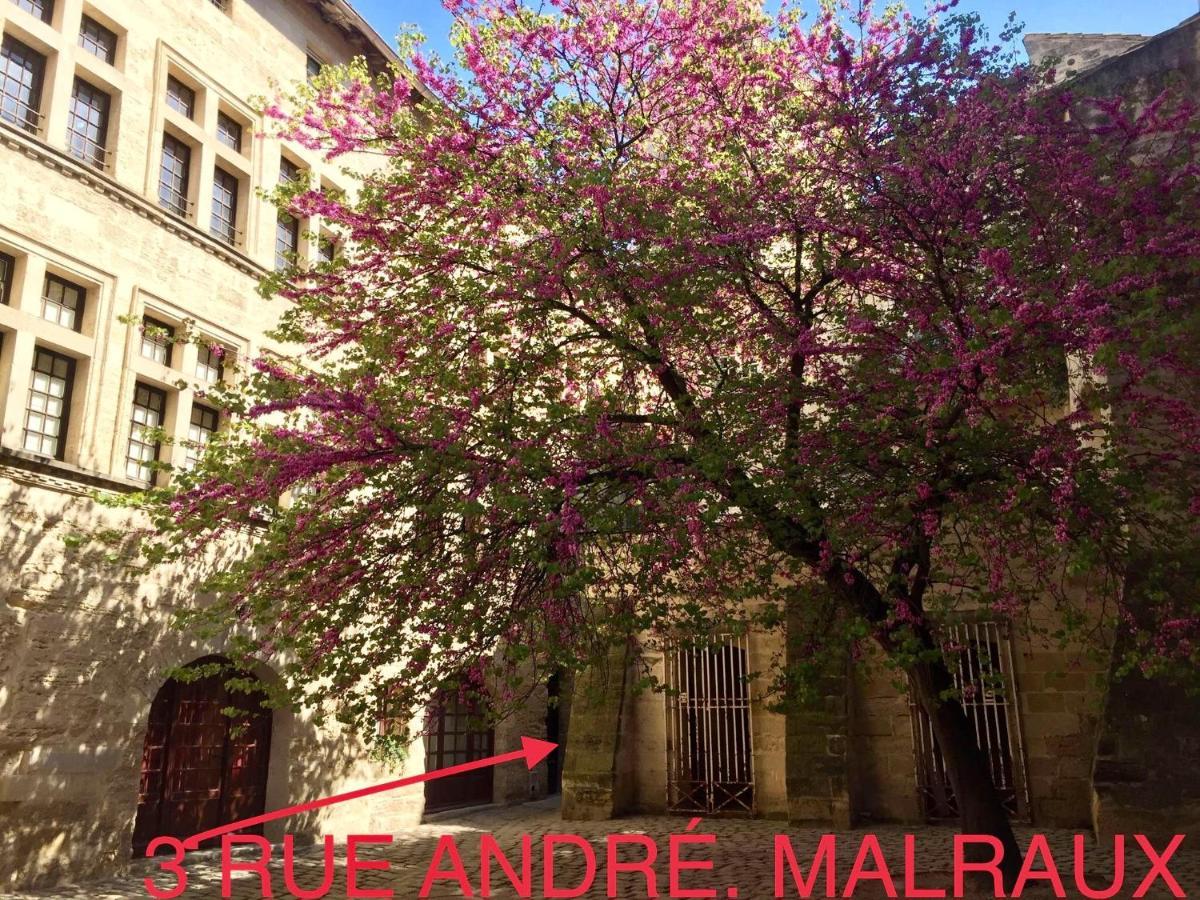 Appartement A 50 M De La Place Aux Herbes Uzes Luaran gambar