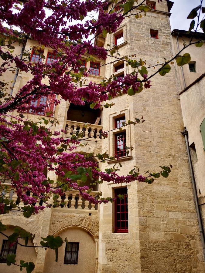 Appartement A 50 M De La Place Aux Herbes Uzes Luaran gambar